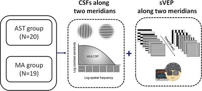 Meridian-Specific and Post-Optical Deficits of Spatial Vision in Human Astigmatism: Evidences From Psycho-Physical and EEG Scalings